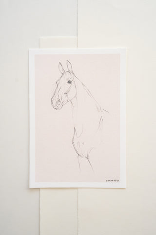 Photo of a delicate graphite line drawing of a horse by equine artist Danielle Demers