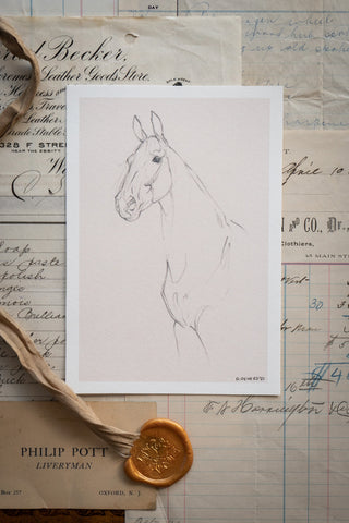 Photo of a delicate graphite line drawing of a horse by equine artist Danielle Demers