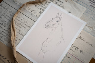 Photo of a delicate graphite line drawing of a horse by equine artist Danielle Demers