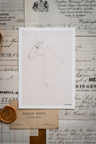 Photo of a delicate graphite line drawing of a horse by equine artist Danielle Demers