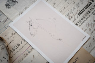 Photo of a delicate graphite line drawing of a horse by equine artist Danielle Demers