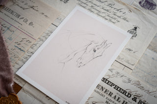 Photo of a delicate graphite line drawing of a horse by equine artist Danielle Demers