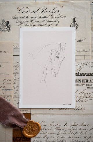 Photo of a delicate graphite line drawing of a horse by equine artist Danielle Demers