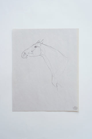 Photo of an original pencil sketch of a horse by equine artist Danielle Demers