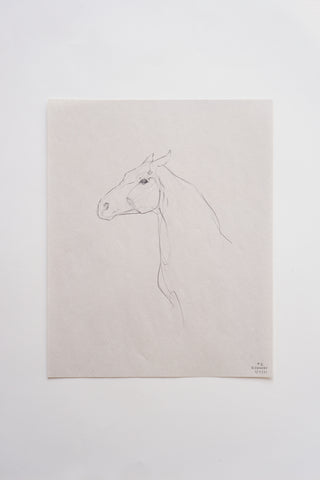 Photo of an original pencil sketch of a horse by equine artist Danielle Demers