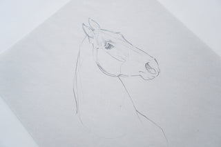 Photo of an original pencil sketch of a horse by equine artist Danielle Demers
