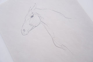 Photo of an original pencil sketch of a horse by equine artist Danielle Demers