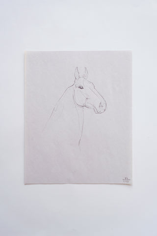 Photo of an original pencil sketch of a horse by equine artist Danielle Demers