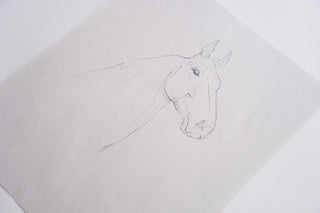 Photo of an original pencil sketch of a horse by equine artist Danielle Demers