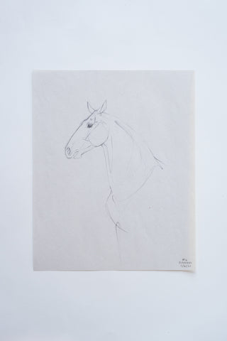 Photo of an original pencil sketch of a horse by equine artist Danielle Demers