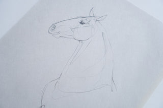 Photo of an original pencil sketch of a horse by equine artist Danielle Demers