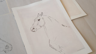 Photo of an original mixed media line drawing of a horse by equine artist Danielle Demers