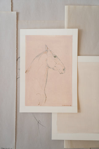 Photo of an original mixed media line drawing of a horse by equine artist Danielle Demers