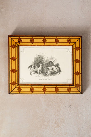 1856 Framed Engraving "Blenheims and Cockers" by Gilbert & Gihon