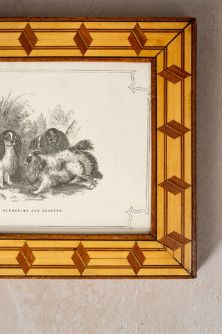 1856 Framed Engraving "Blenheims and Cockers" by Gilbert & Gihon