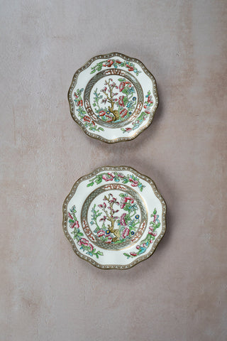 1890s Coalport "The Indian Tree" English Porcelain Decorative Plates