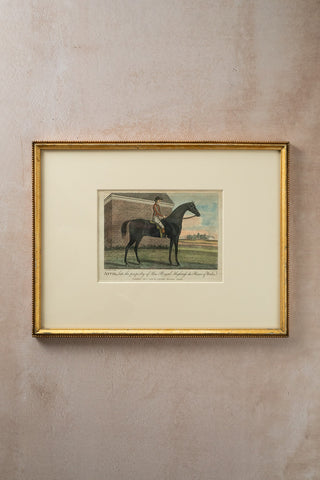 1793 Framed Antique Hand-Colored Horse Engraving: "Anvil, late property of His Royal Highness the Prince of Wales"