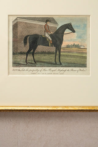 1793 Framed Antique Hand-Colored Horse Engraving: "Anvil, late property of His Royal Highness the Prince of Wales"