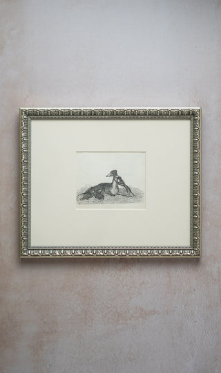 1850 Pen & Ink drawing of a Greyhound Dog with Her Puppies by English artist Emily Luck