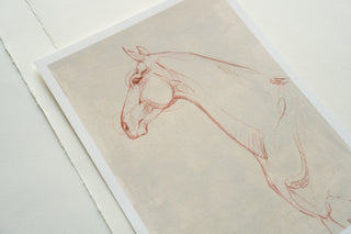 Photo of a print of a mixed media line drawing of a horse by equine artist Danielle Demers