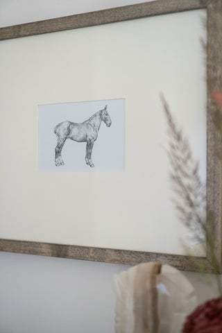 Photo of a framed original graphite drawing of a horse entitled The Bay Hunter by equine artist Danielle Demers
