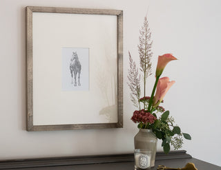 Photo of a framed original graphite drawing of a horse entitled The Colt by equine artist Danielle Demers