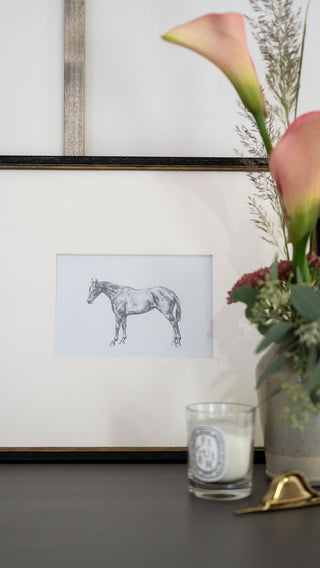 Photo of a framed original graphite drawing of a horse entitled The Thoroughbred Mare by equine artist Danielle Demers