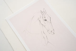 Photo of a delicate graphite line drawing of a horse by equine artist Danielle Demers