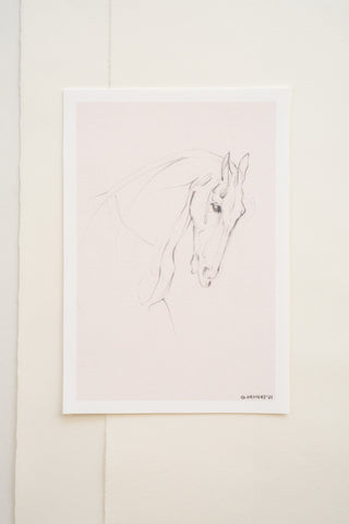 Photo of a delicate graphite line drawing of a horse by equine artist Danielle Demers