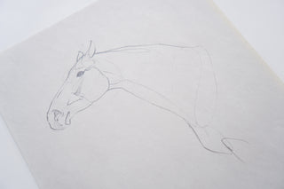 Photo of an original pencil sketch of a horse by equine artist Danielle Demers
