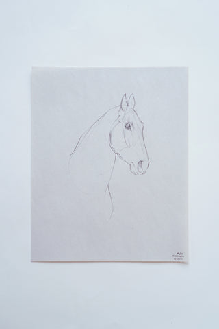 Photo of an original pencil sketch of a horse by equine artist Danielle DemersPhoto of an original pencil sketch of a horse by equine artist Danielle Demers